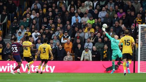 Wolves vs Newcastle United