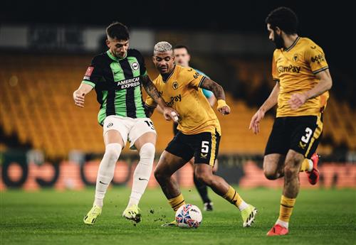 Wolves vs Brighton