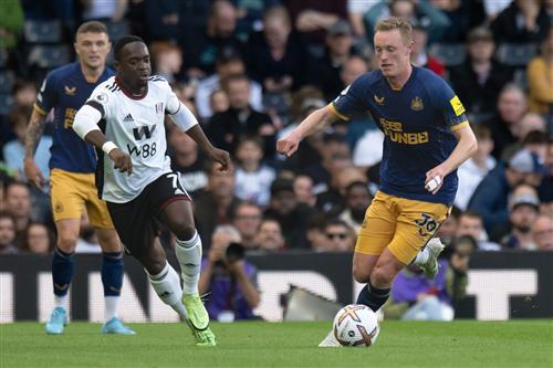 Newcastle United vs Fulham