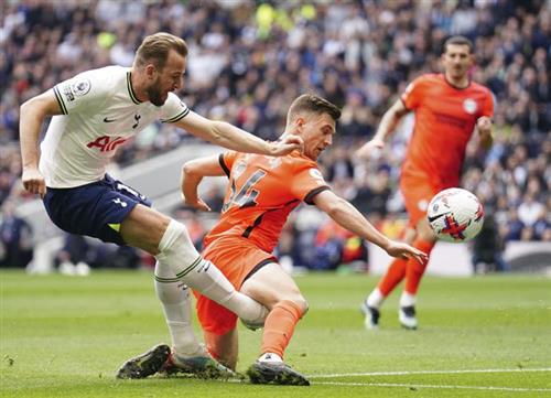Tottenham Hotspur vs Brighton