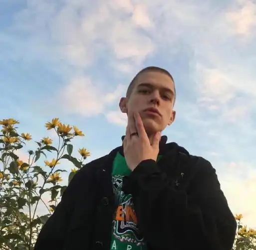 6686体育中级作者落叶归根