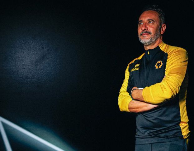 2 draws and 6 losses! Wolves are the only team without a win in the Premier League this season and are in the relegation zone at the bottom.