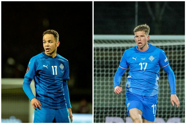 Iceland coach: Anderson will not play against Azerbaijan and Ukraine due to injury